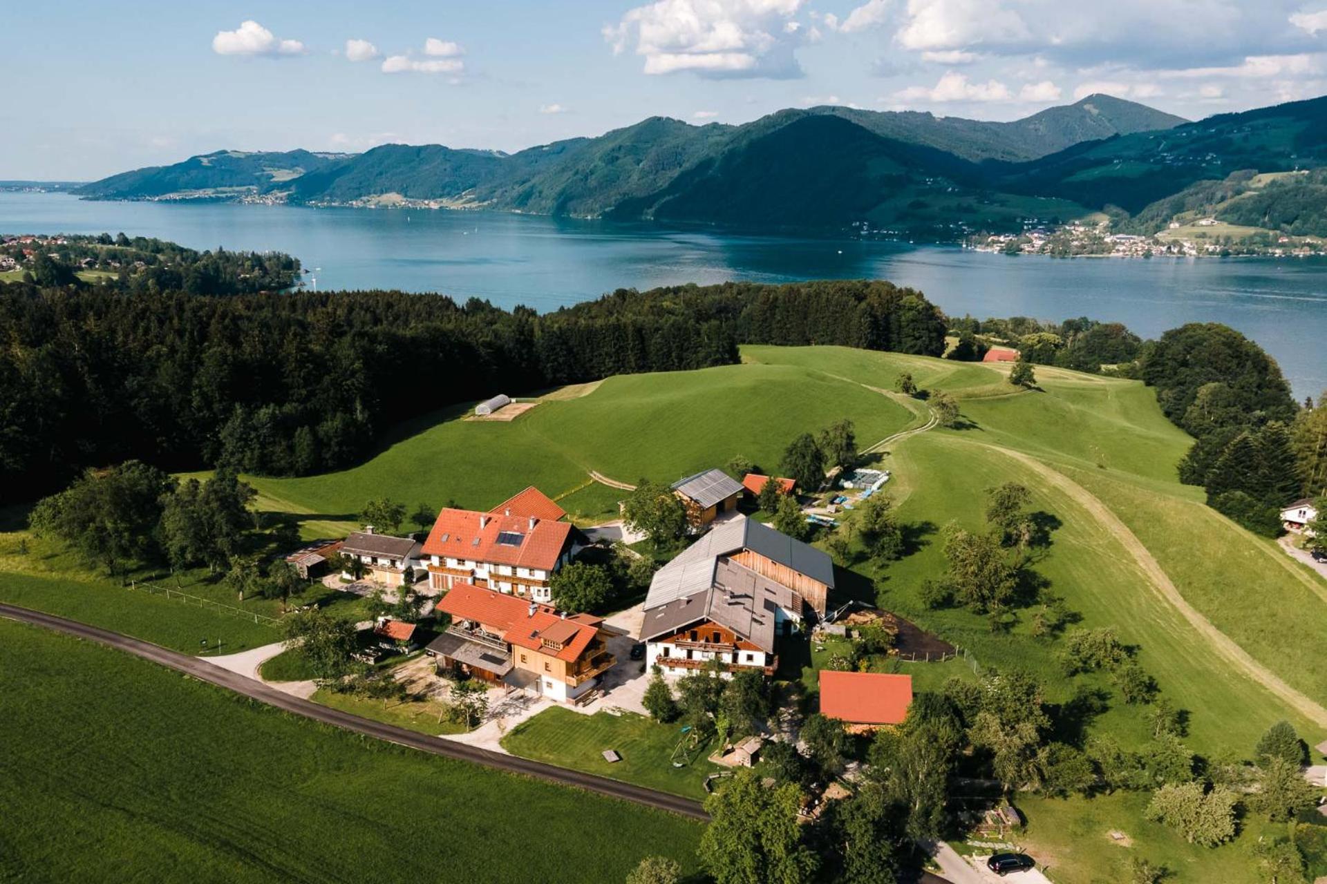 Ferienwohnung Grubinger Unterach am Attersee Luaran gambar
