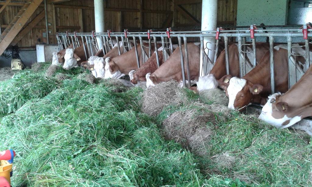 Ferienwohnung Grubinger Unterach am Attersee Luaran gambar