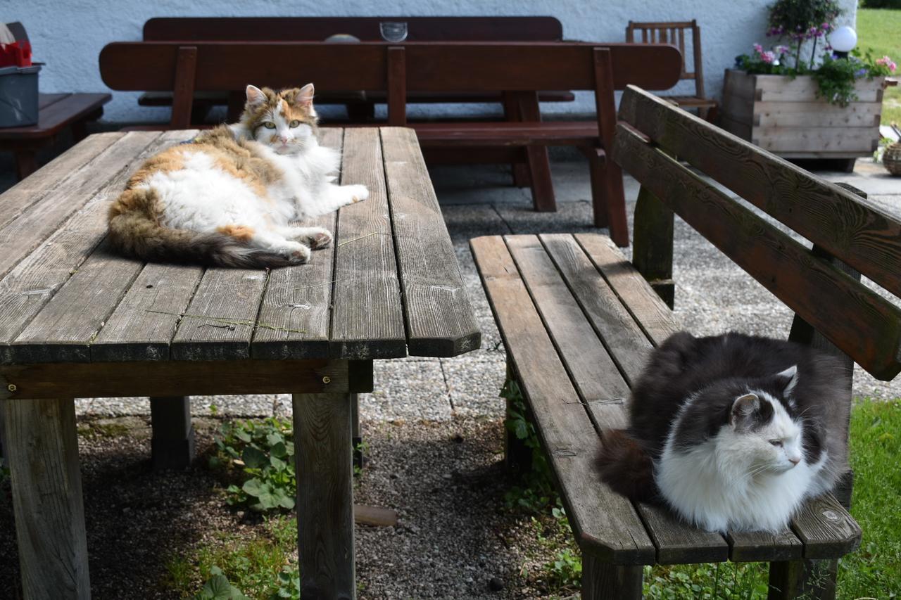 Ferienwohnung Grubinger Unterach am Attersee Luaran gambar