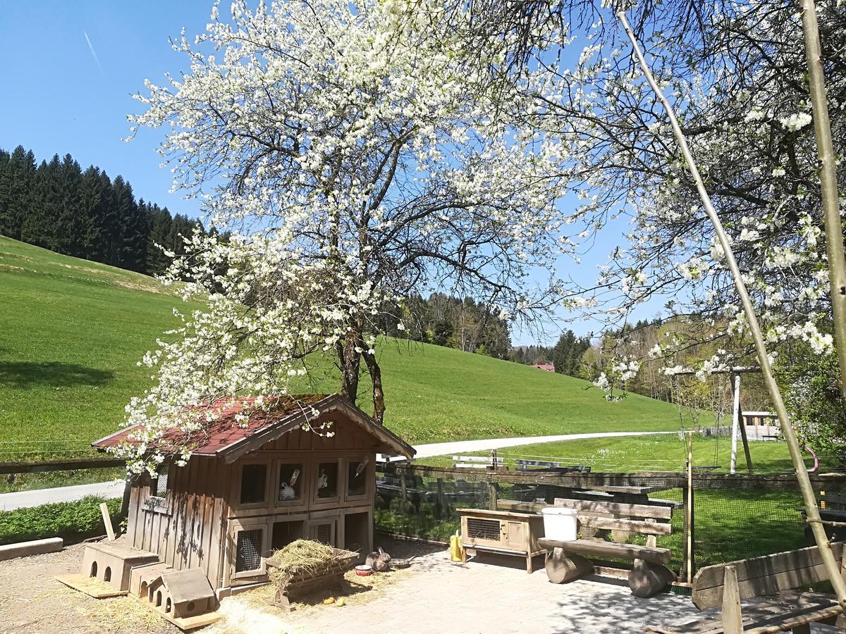 Ferienwohnung Grubinger Unterach am Attersee Luaran gambar